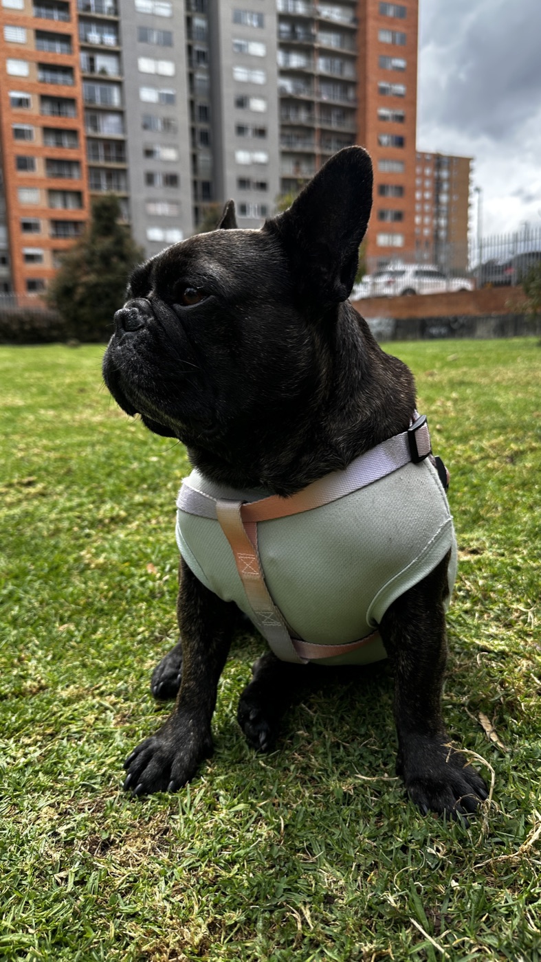 Fiora, de perfil en Bogotá