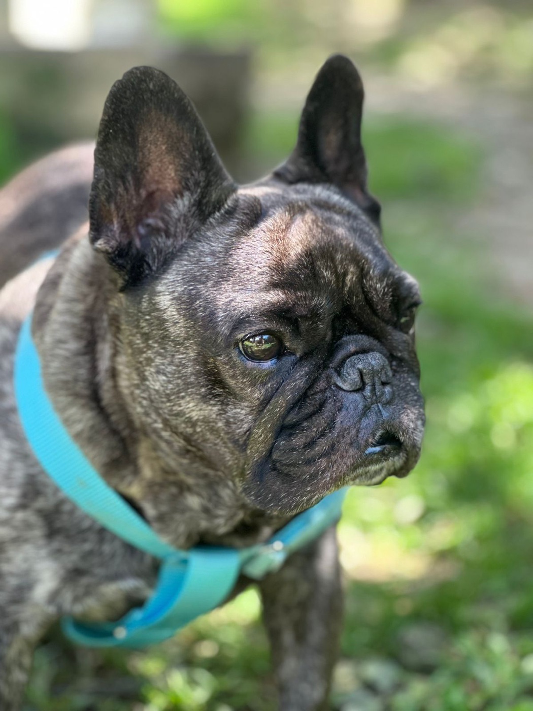 Blue, de perfil
